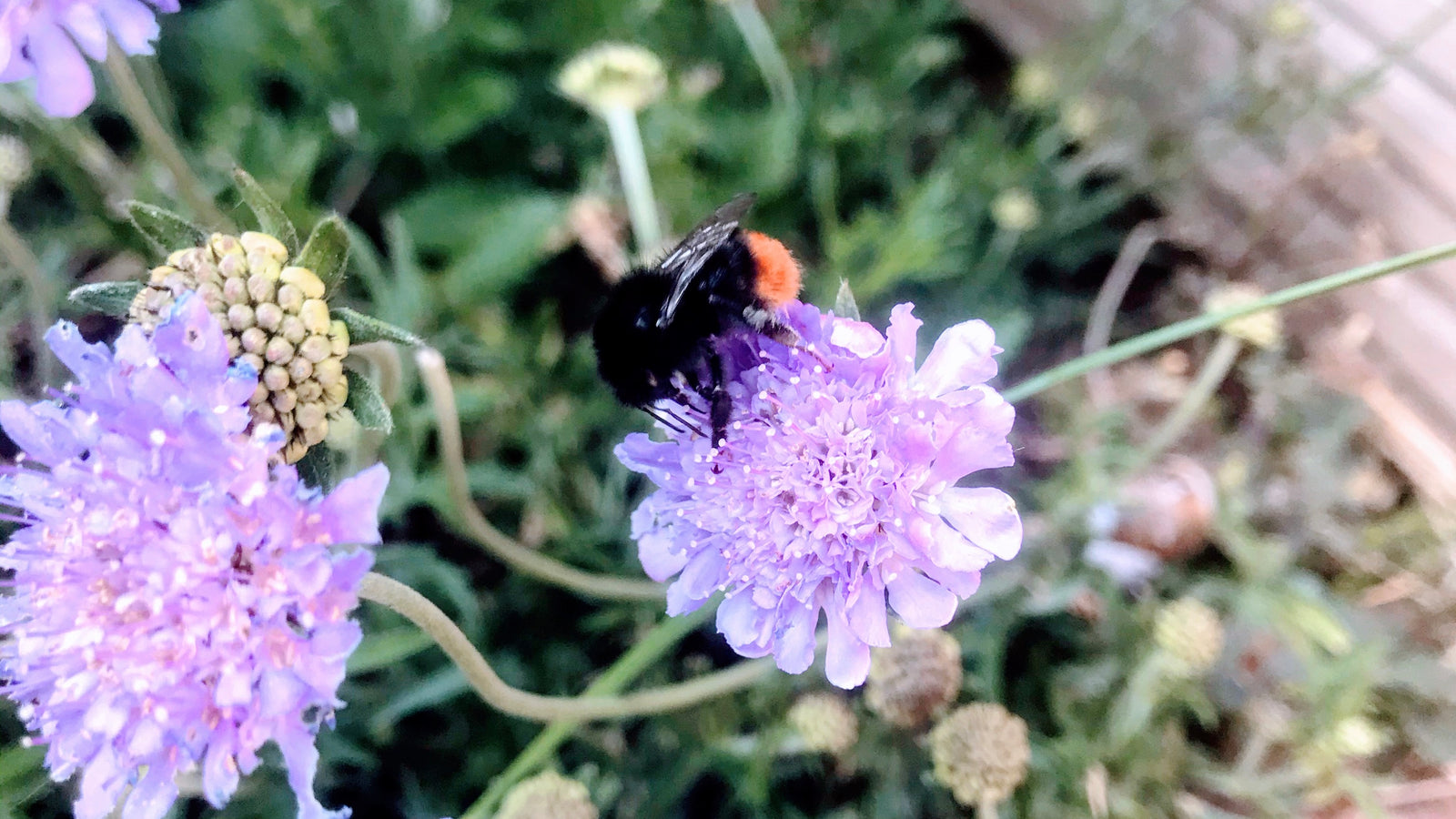 Fietselfsteden (@fietselfstedentocht) • Instagram photos and videos, image size:1600x900