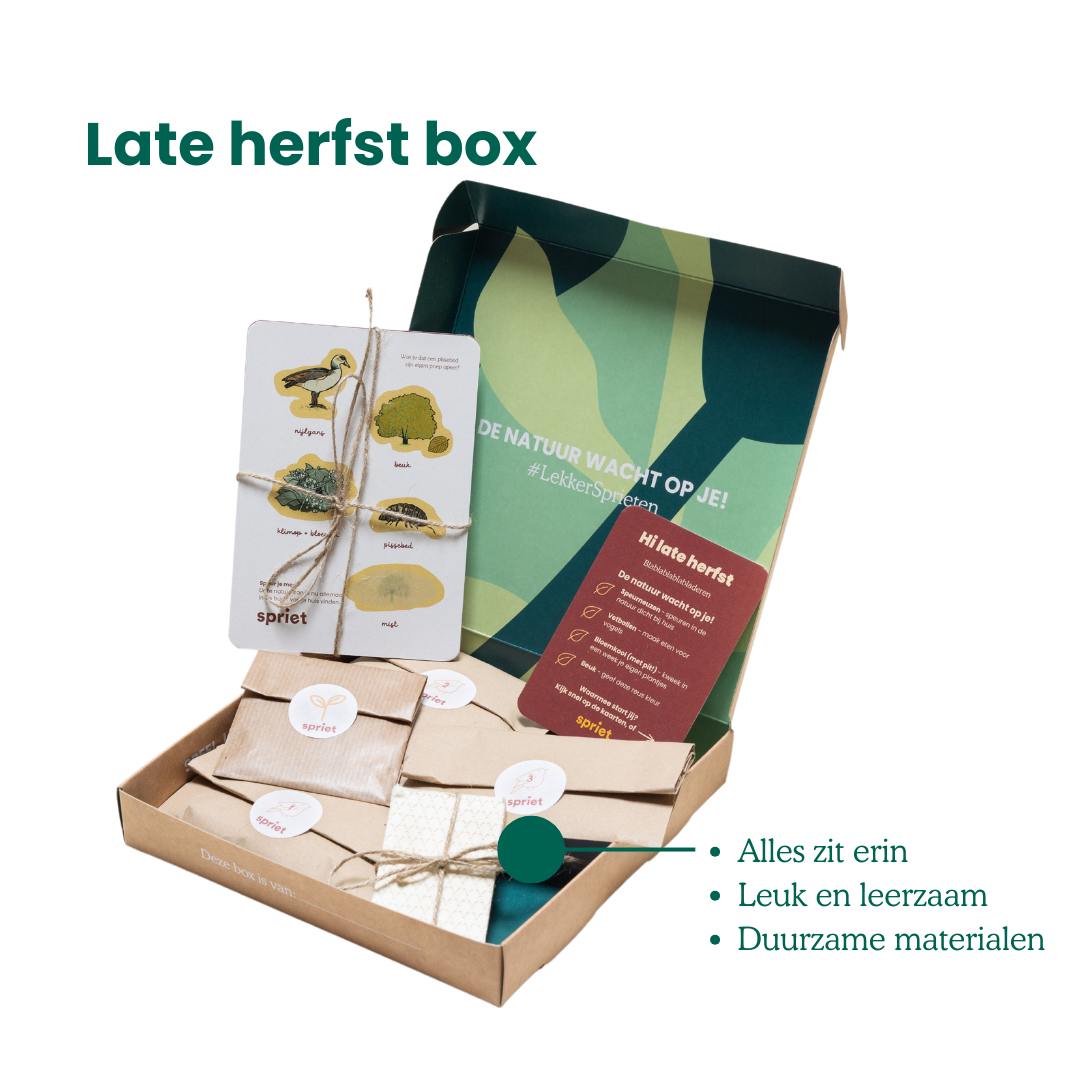 Late herfst Spriet-box