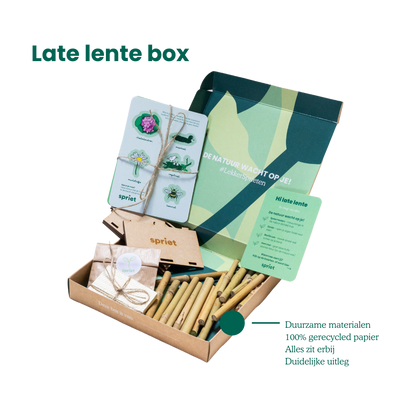 natuurbox late lente, leuk met kind, buitenspelen, 1op1 tijd met kind, natuurbingo, creatief cadeau kind, duurzaam cadeau kind, natuur cadeau kind, spriet