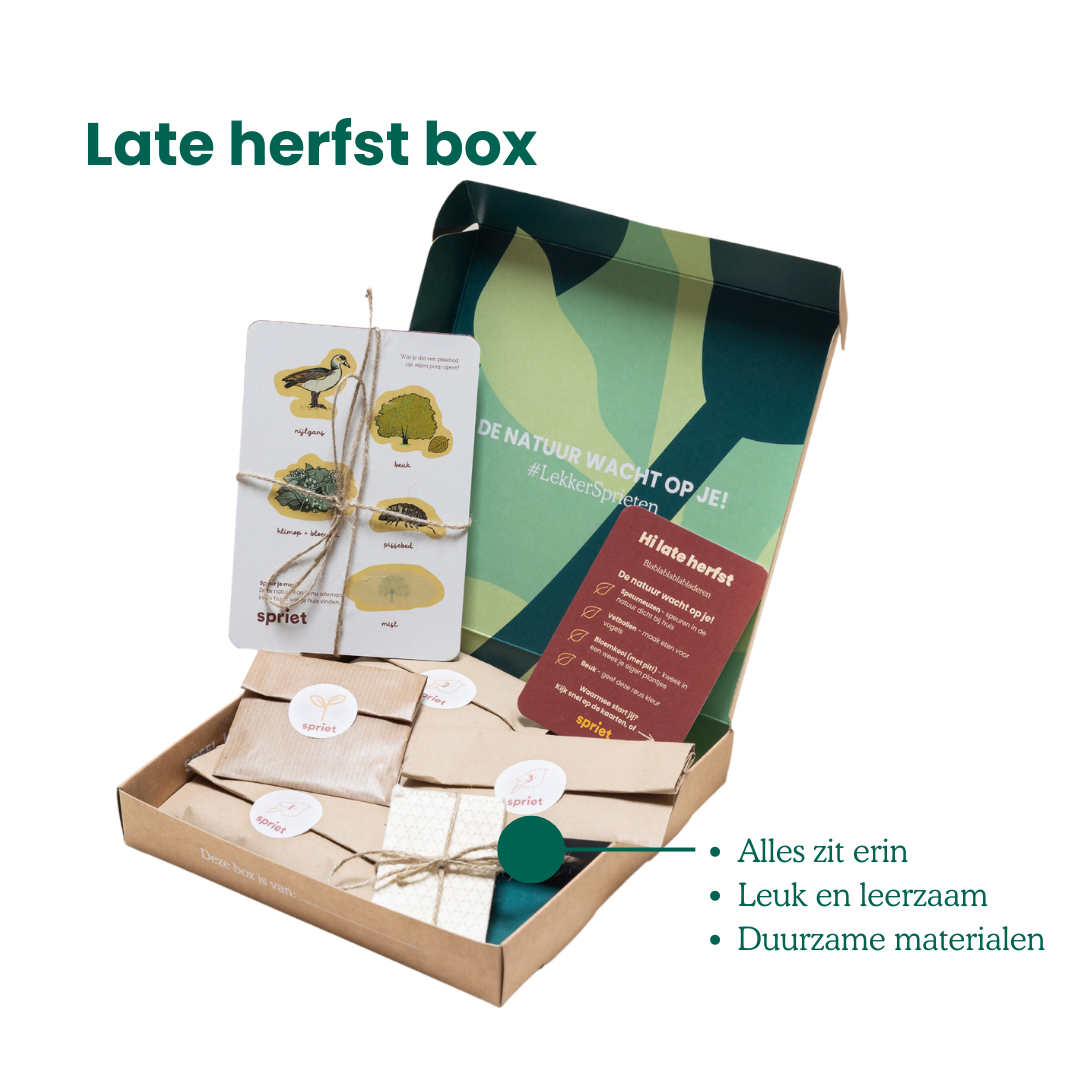 Late herfst Spriet-box